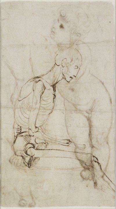 Study of a Skeleton by Raffaello Sanzio Raphael